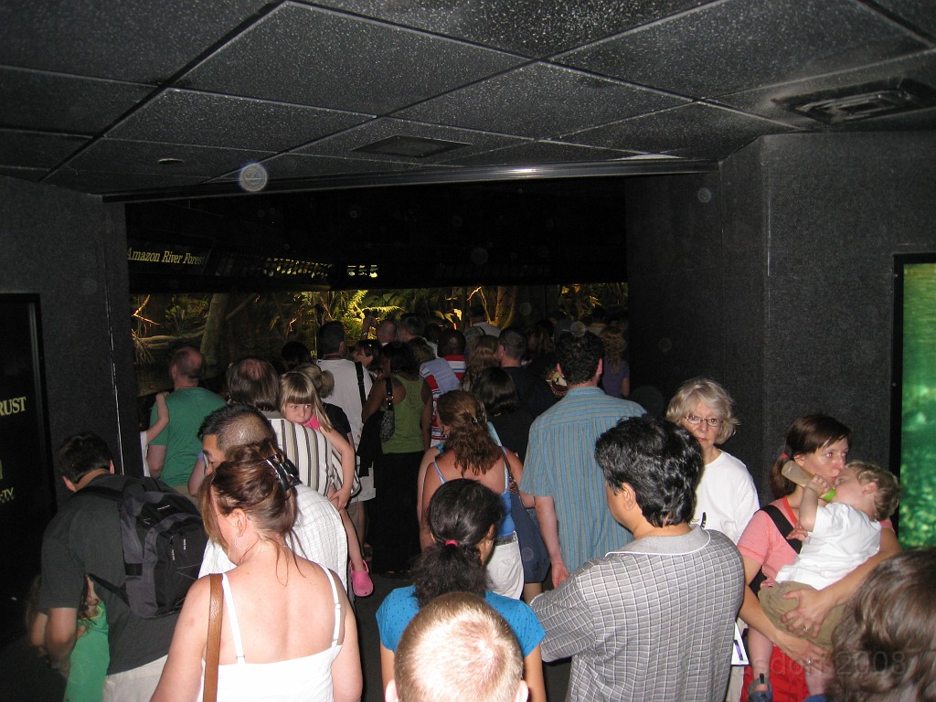 Baltimore MD 2009 1760.jpg - A 4th of July trip to Washington DC in 2009 included a stop in Baltimore MD to see the National Aquarium.